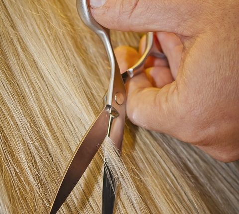 Hairdressing license requirements